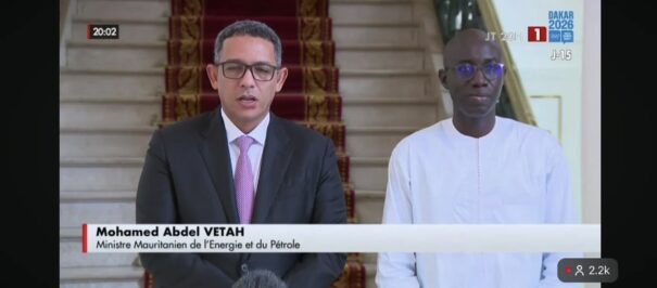 Mohamed Ould Abdel Vetah, nouveau ministre mauritanien de l'Énergie face à la crise électrique
