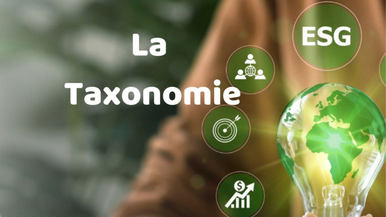 Le Sénégal se dote d'une taxonomie verte